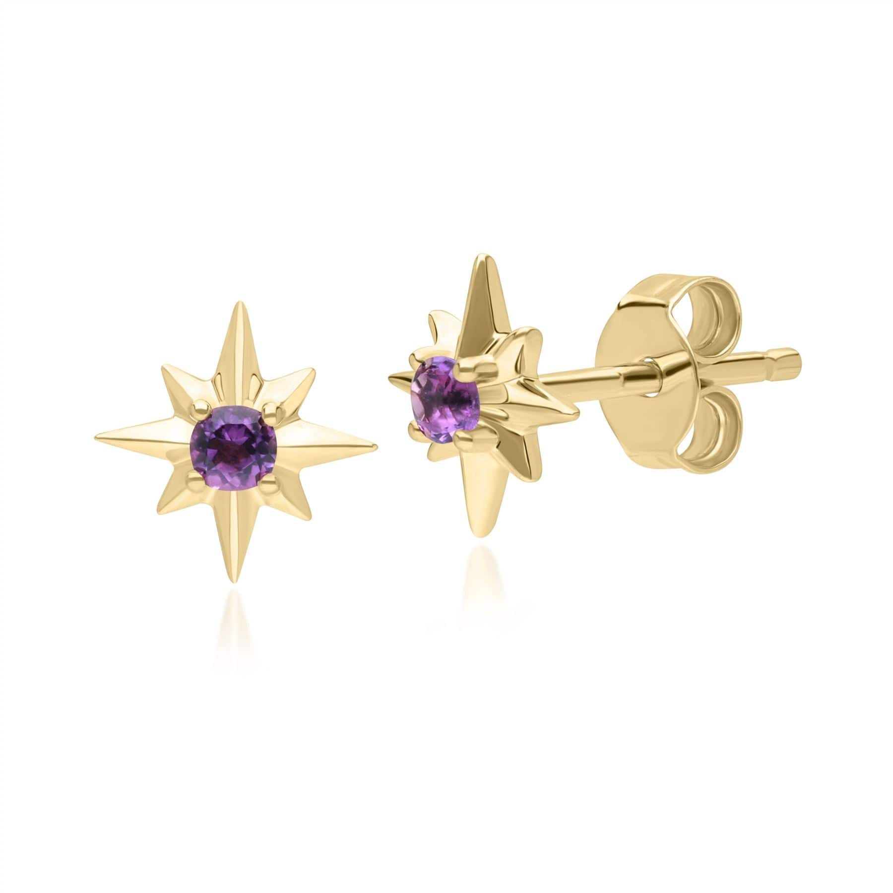 135E1821029 Night Sky Amethyst Star Stud Earrings in 9ct Yellow Gold Front